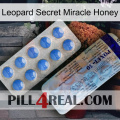 Leopard Secret Miracle Honey 39